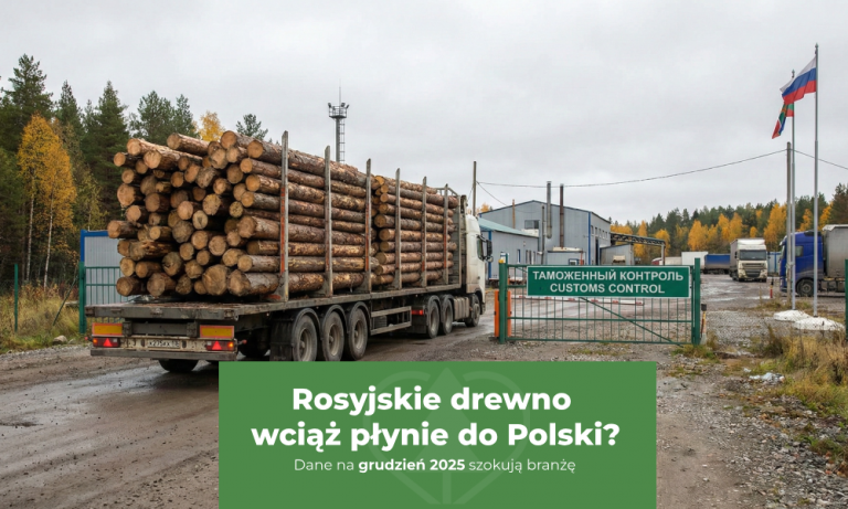 import rosyjskiego drewna do polski