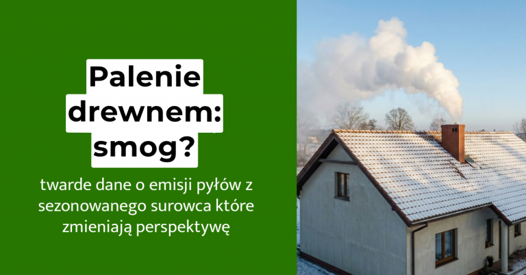 palenie drewnem smog